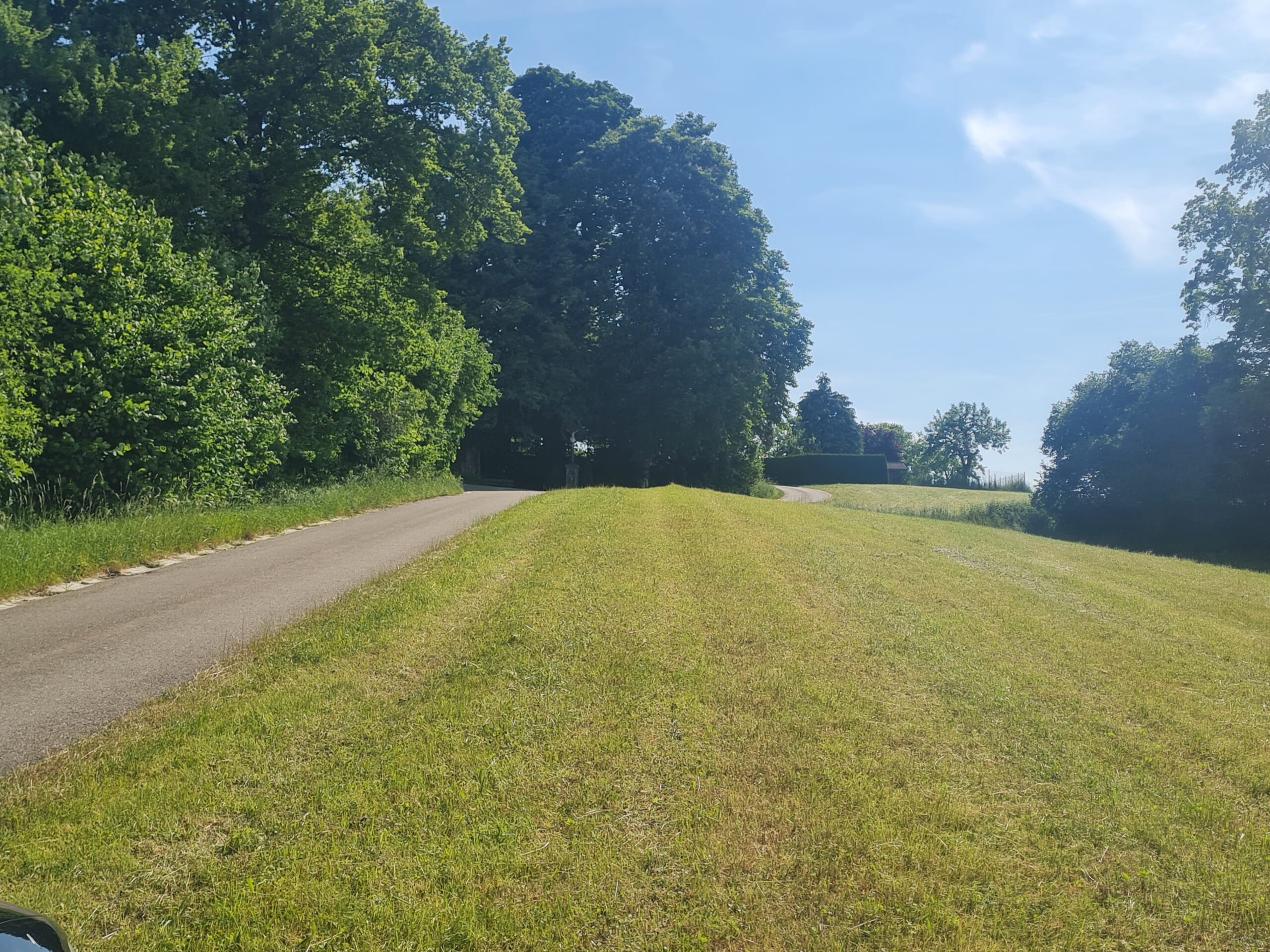 Mietingen Grundstück 2