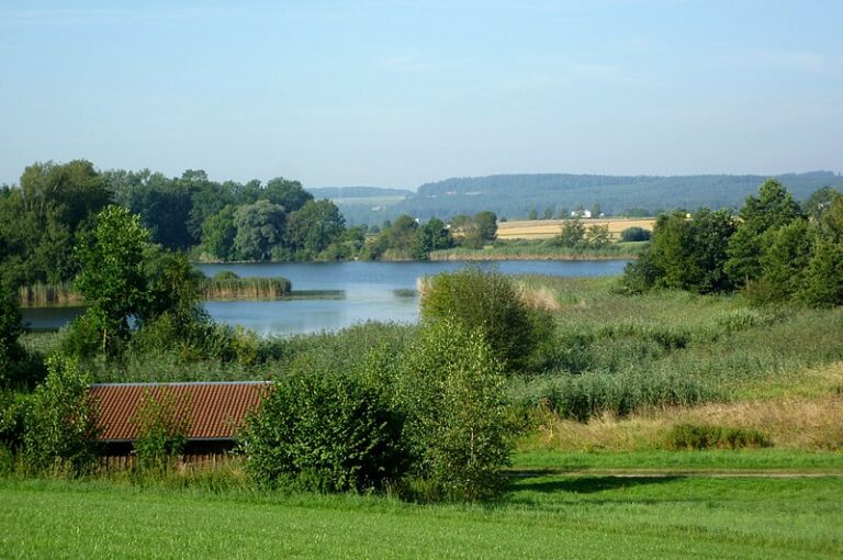 Olzreuter_Weiher