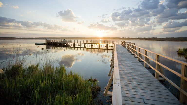 csm_Federsee-Steg-vorne-mit_Plattform1_703d35d475